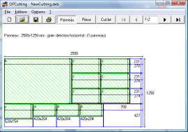 Display of the cutting optimization